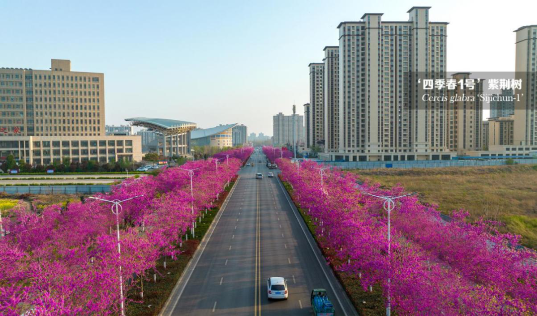 1673595993188329.png 1.png