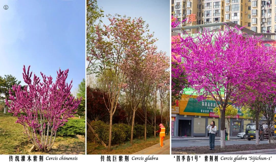 1674024455472854.jpg 微信圖片_20230118143937.jpg