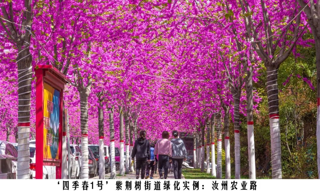 1674024510789942.jpg 微信圖片_20230118144015.jpg