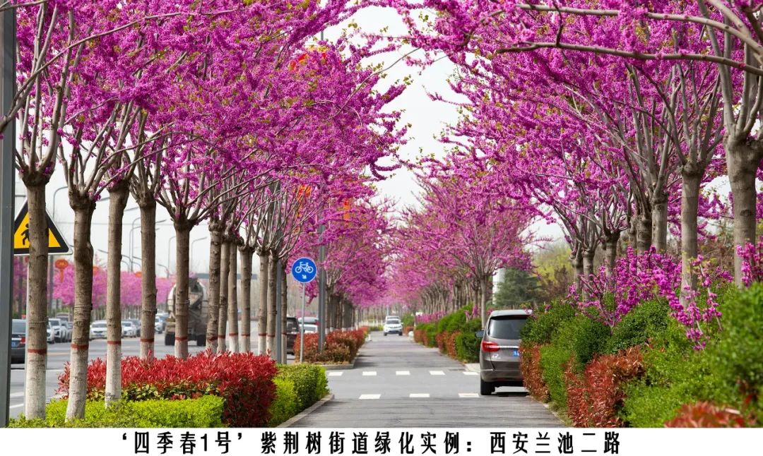 1674024520431426.jpg 微信圖片_20230118144027.jpg