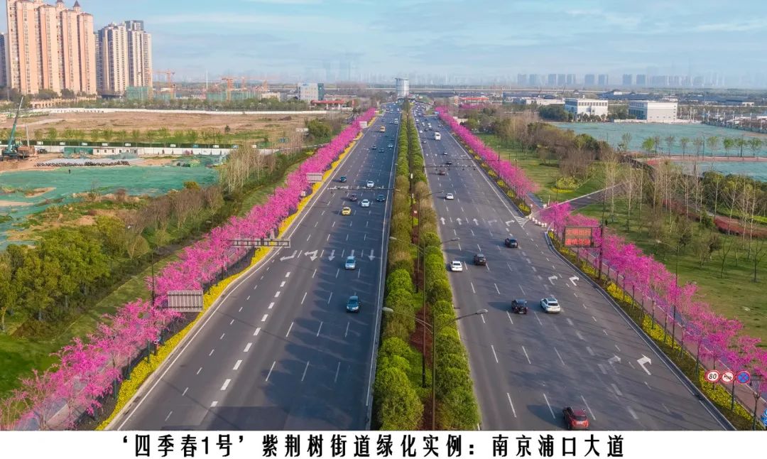 1674024550281432.jpg 微信圖片_20230118144034.jpg