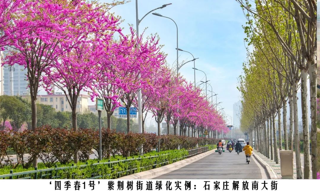 1674024668147105.jpg 微信圖片_20230118144043.jpg