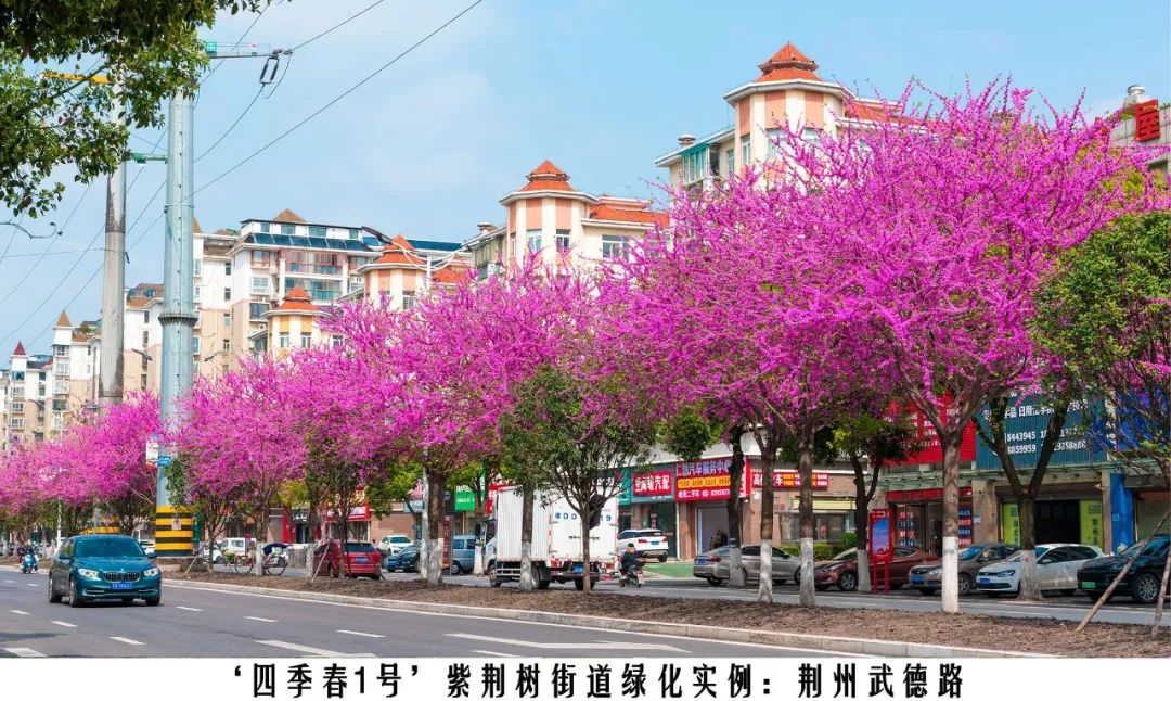 1674024693930791.jpg 微信圖片_20230118144051.jpg