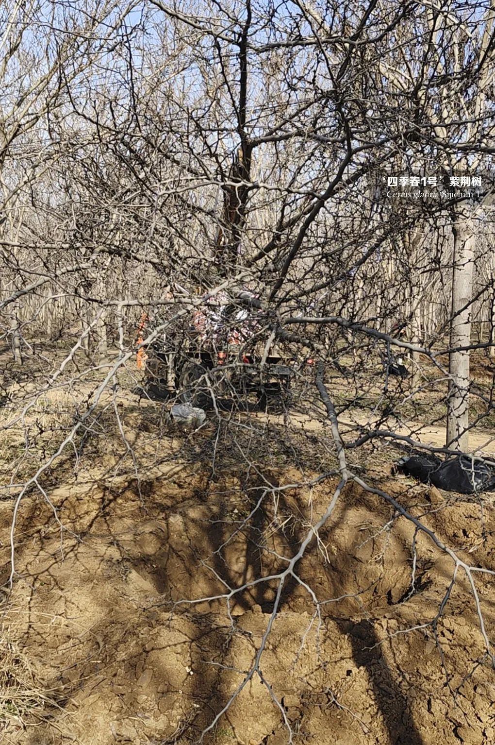 1677207078341664.jpg 微信圖片_20230223092039.jpg