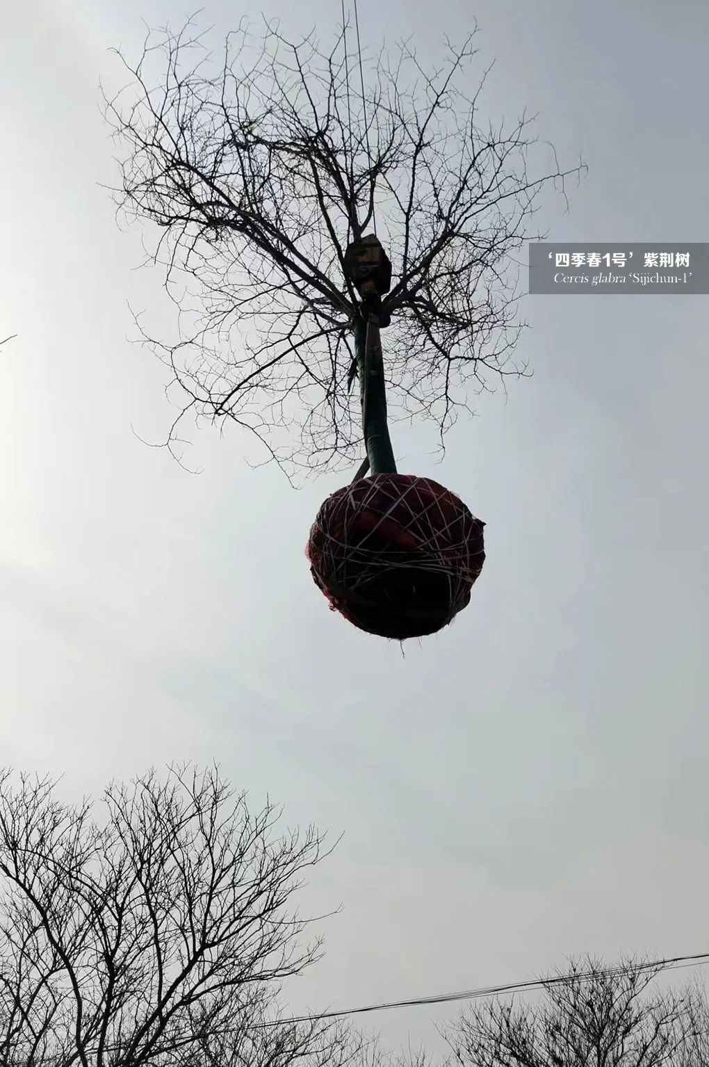 1677207095459540.jpg 微信圖片_20230223092044.jpg