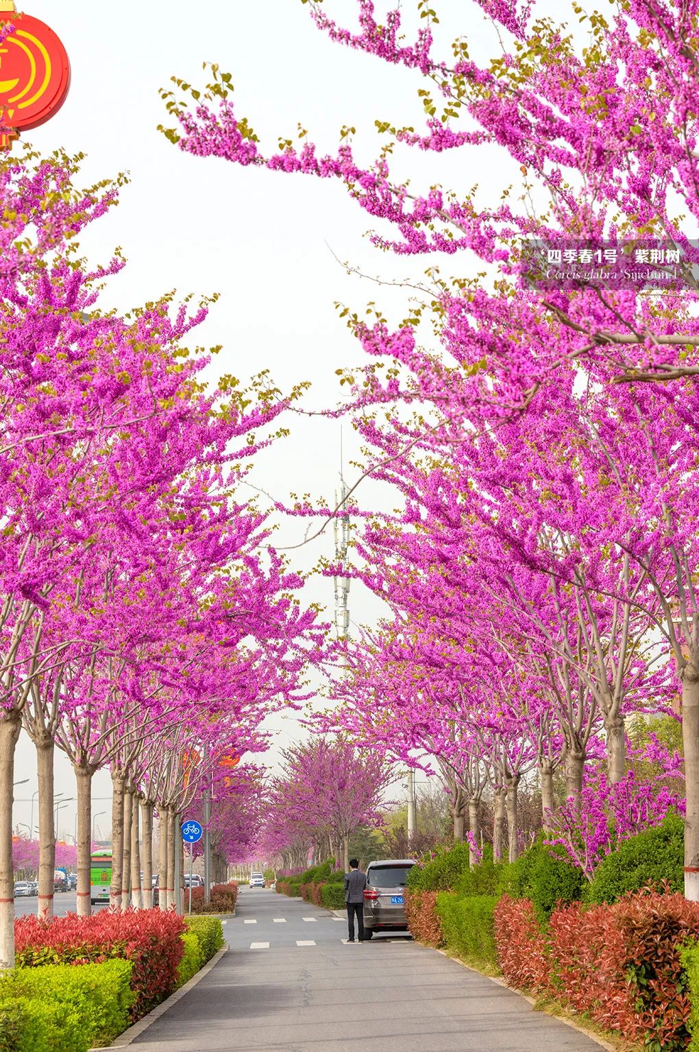 1677207135348245.jpg 微信圖片_20230223092056.jpg