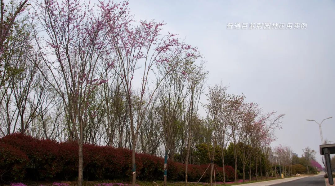 1678871204641253.jpg 微信圖片_20230315165418.jpg