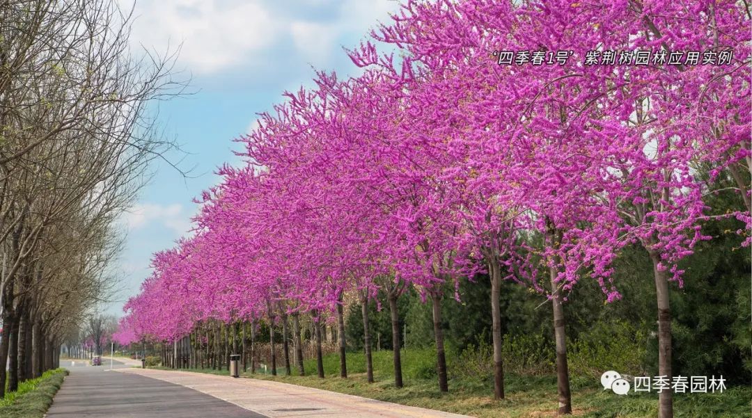 1678871215156417.jpg 微信圖片_20230315165422.jpg