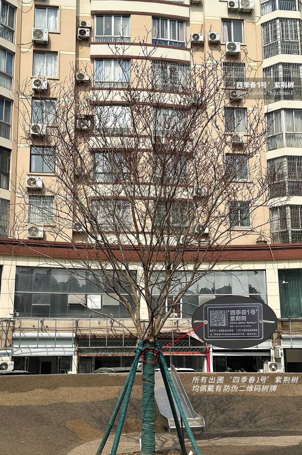 1678871225998303.jpg 微信圖片_20230315165426.jpg