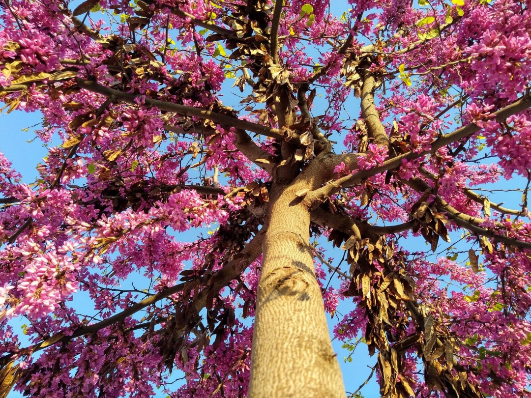 1680847878653131.png 微信圖片_20230407135703.png