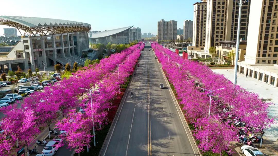 1680847938583688.jpg 微信圖片_20230407135725.jpg