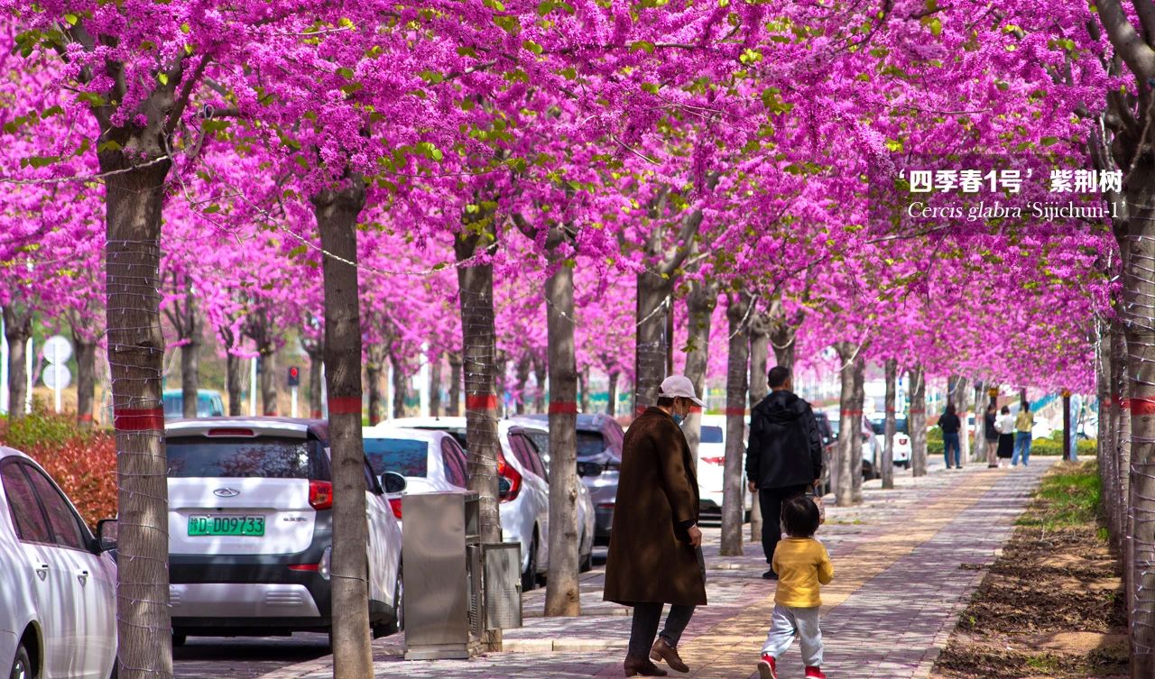 1681113387735478.jpg 微信圖片_20230410153432.jpg