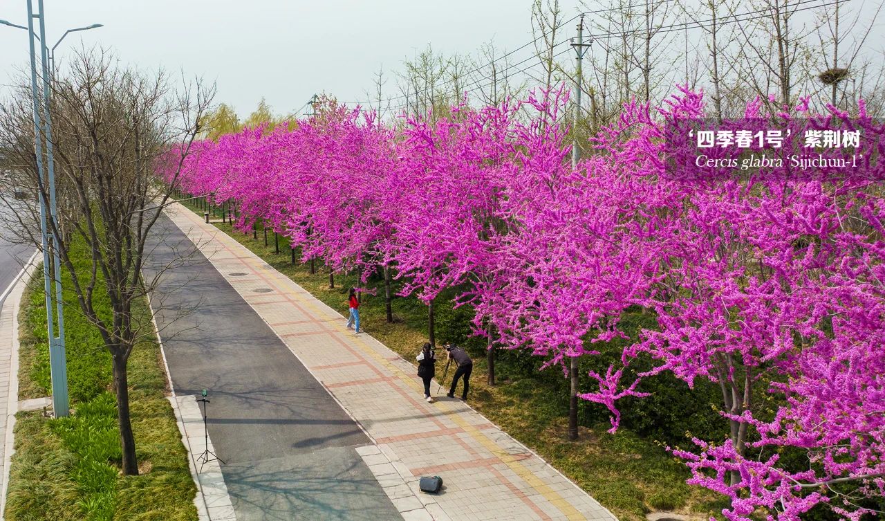 1682327378769089.jpg 微信圖片_20230424165555.jpg