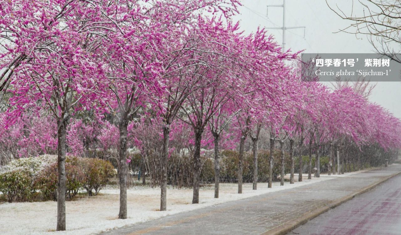 1682327387961030.jpg 微信圖片_20230424165610.jpg