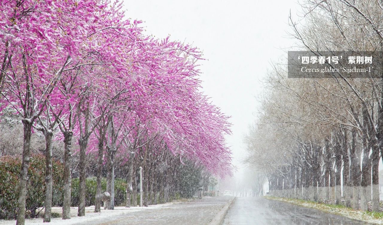 1682327403931029.jpg 微信圖片_20230424165614.jpg