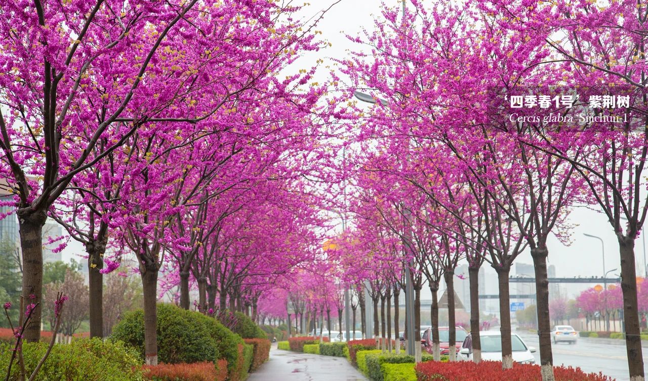 1683341680237145.jpg 微信圖片_20230506102429.jpg