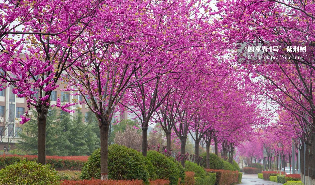 1683341692178060.jpg 微信圖片_20230506102456.jpg