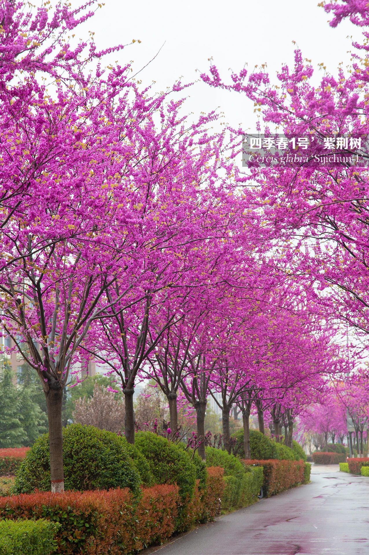 1683341705669746.jpg 微信圖片_20230506102500.jpg