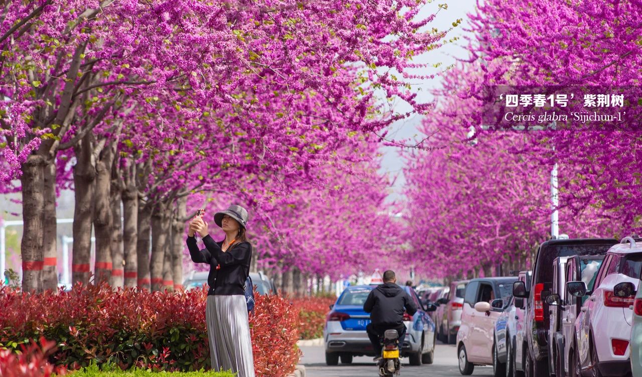 1683795963386378.jpg 微信圖片_20230511163343.jpg